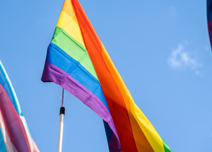 Estrategias LGTBI y trans Estrategias LGTBI y trans